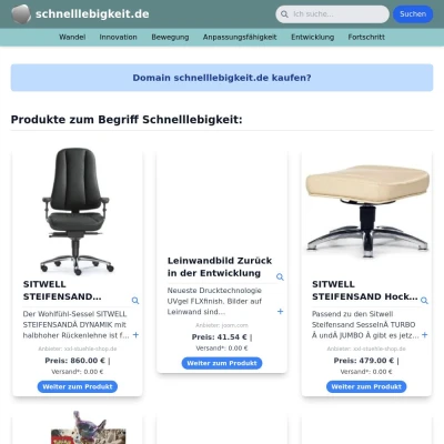 Screenshot schnelllebigkeit.de