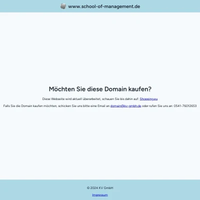 Screenshot school-of-management.de