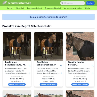 Screenshot schulterschutz.de