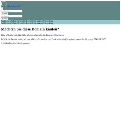 Screenshot selbstkritisch.de