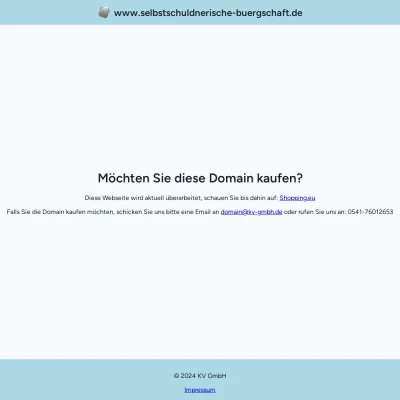 Screenshot selbstschuldnerische-buergschaft.de