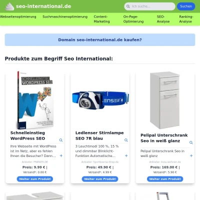 Screenshot seo-international.de