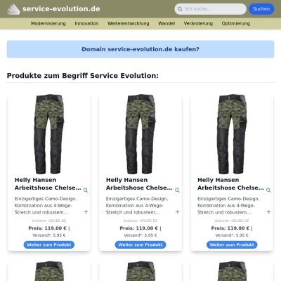 Screenshot service-evolution.de