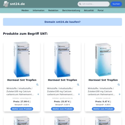 Screenshot snt24.de