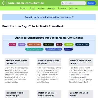 Screenshot social-media-consultant.de