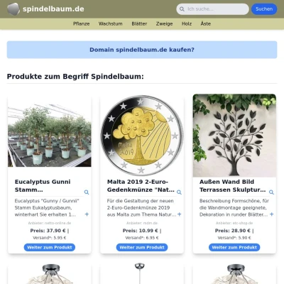 Screenshot spindelbaum.de