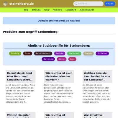 Screenshot steinenberg.de