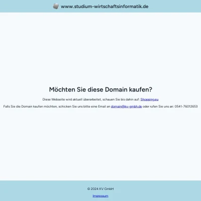 Screenshot studium-wirtschaftsinformatik.de