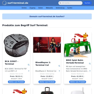 Screenshot surf-terminal.de