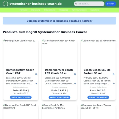 Screenshot systemischer-business-coach.de