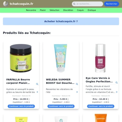 Screenshot tchatcoquin.fr