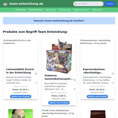 Screenshot team-entwicklung.de