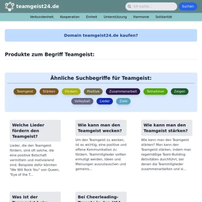 Screenshot teamgeist24.de