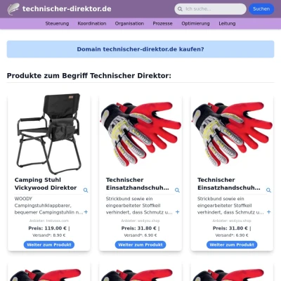 Screenshot technischer-direktor.de