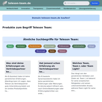 Screenshot teleson-team.de