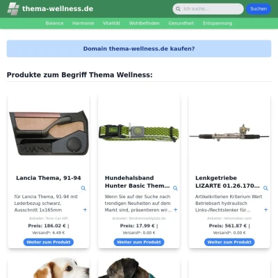 Screenshot thema-wellness.de