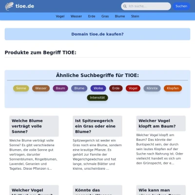 Screenshot tioe.de