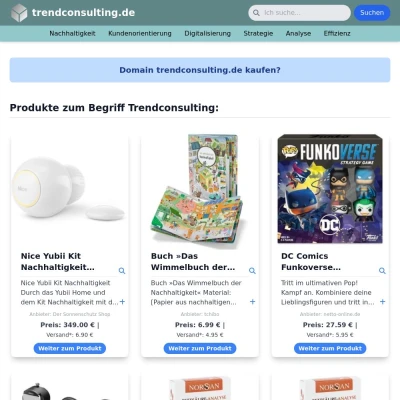 Screenshot trendconsulting.de