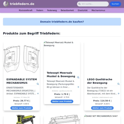 Screenshot triebfedern.de