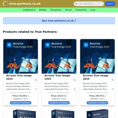 Screenshot true-partners.co.uk