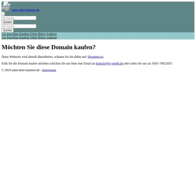 Screenshot unter-dem-hammer.de