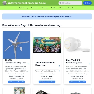 Screenshot unternehmensberatung-24.de