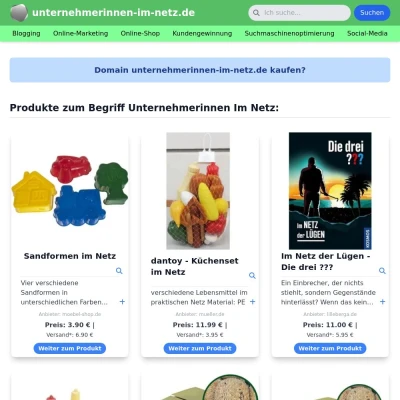 Screenshot unternehmerinnen-im-netz.de