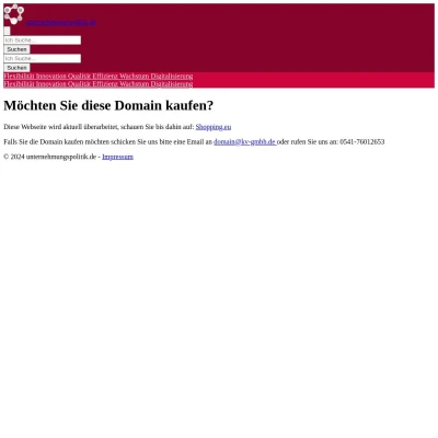 Screenshot unternehmungspolitik.de