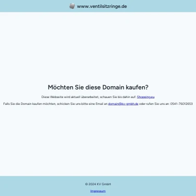 Screenshot ventilsitzringe.de