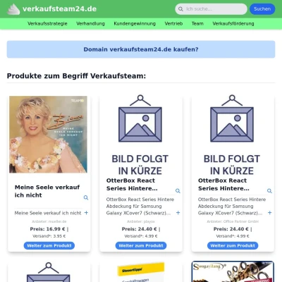 Screenshot verkaufsteam24.de