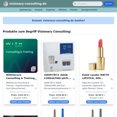 Screenshot visionary-consulting.de