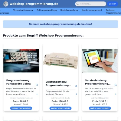 Screenshot webshop-programmierung.de