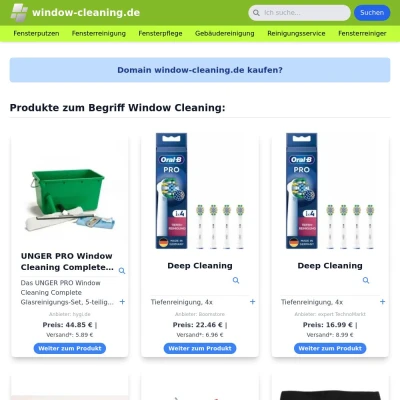 Screenshot window-cleaning.de