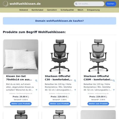 Screenshot wohlfuehlkissen.de