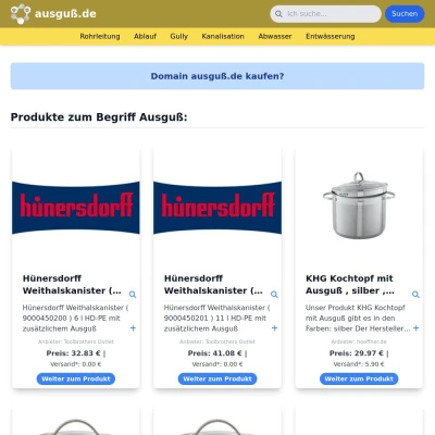 Screenshot ausguß.de