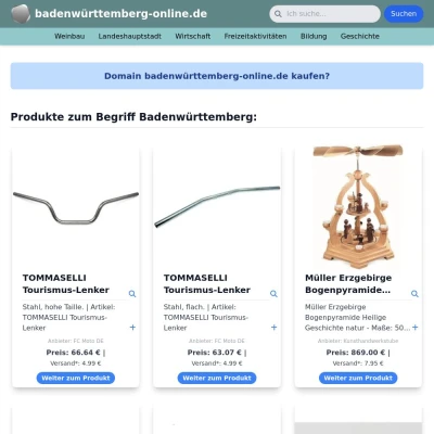 Screenshot badenwürttemberg-online.de