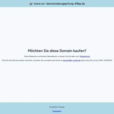 Screenshot überschuldungsprüfung.de