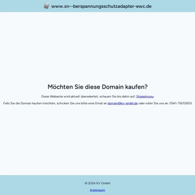 Screenshot überspannungsschutzadapter.de