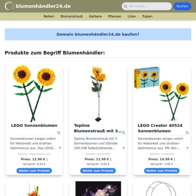 Screenshot blumenhändler24.de