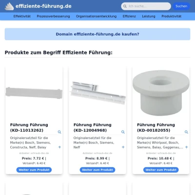 Screenshot effiziente-führung.de