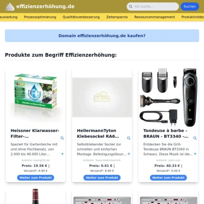 Screenshot effizienzerhöhung.de