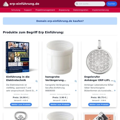 Screenshot erp-einführung.de