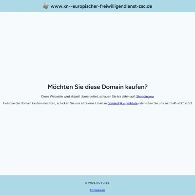 Screenshot europäischer-freiwilligendienst.de