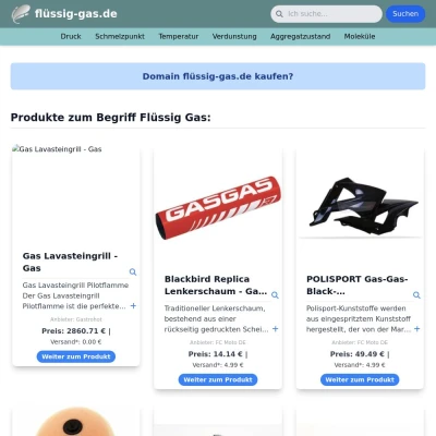 Screenshot flüssig-gas.de