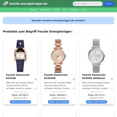 Screenshot fossile-energieträger.de