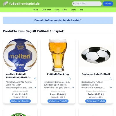 Screenshot fußball-endspiel.de