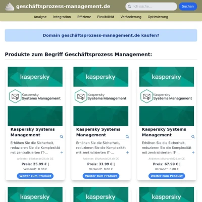 Screenshot geschäftsprozess-management.de