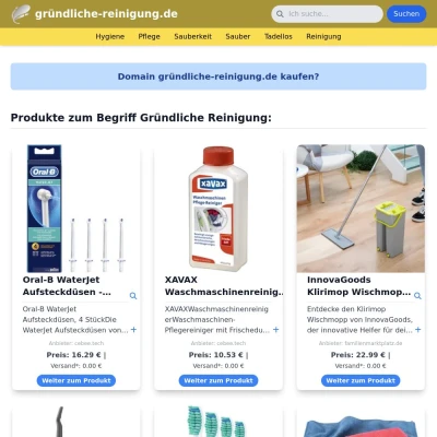 Screenshot gründliche-reinigung.de