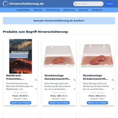 Screenshot hirnerschütterung.de