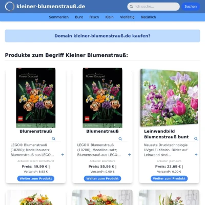 Screenshot kleiner-blumenstrauß.de